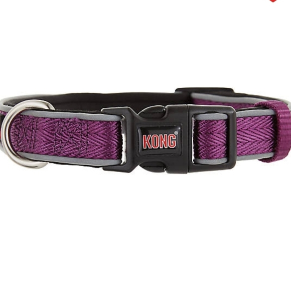 kong padded collar